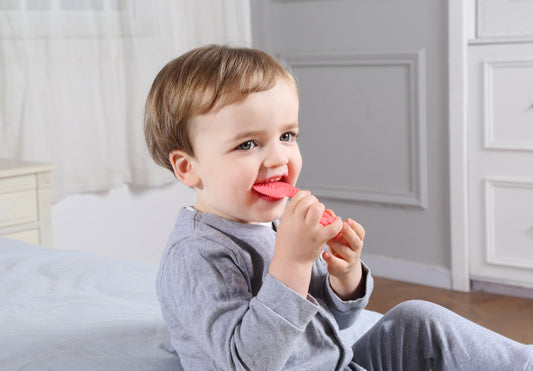 Mordedor Esquilo- Mombella