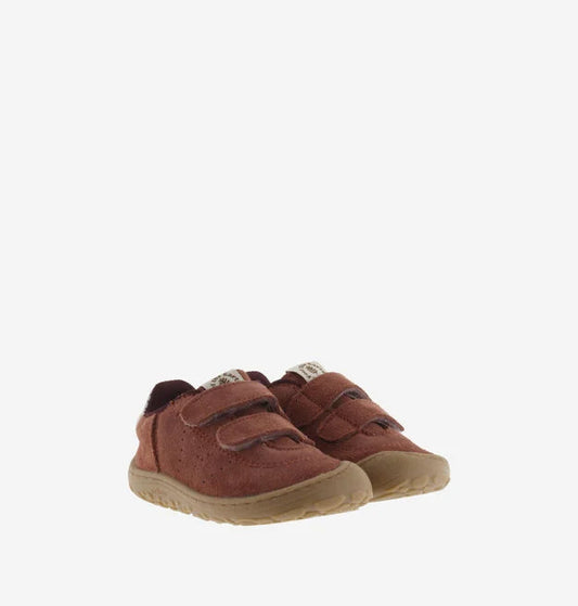 Sapatilhas BOSCO TIRAS BAREFOOT - Terre