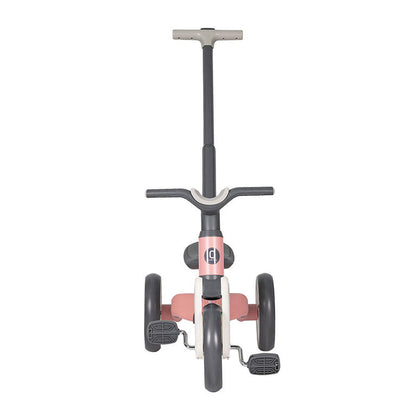 TRICICLO EVOLUTIVO FOX PINIK