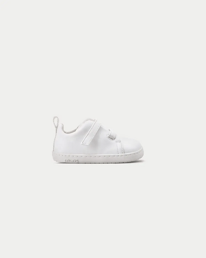 Sapatilhas Terre Off White Colors- Muris