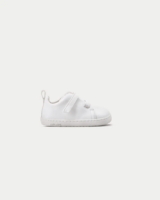 Sapatilhas Terre Off White Colors- Muris